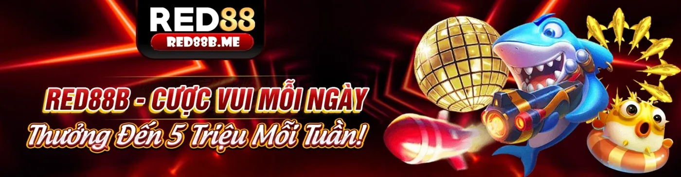 Chuyên gia phân tích tỷ lệ kèo nhà cái 5