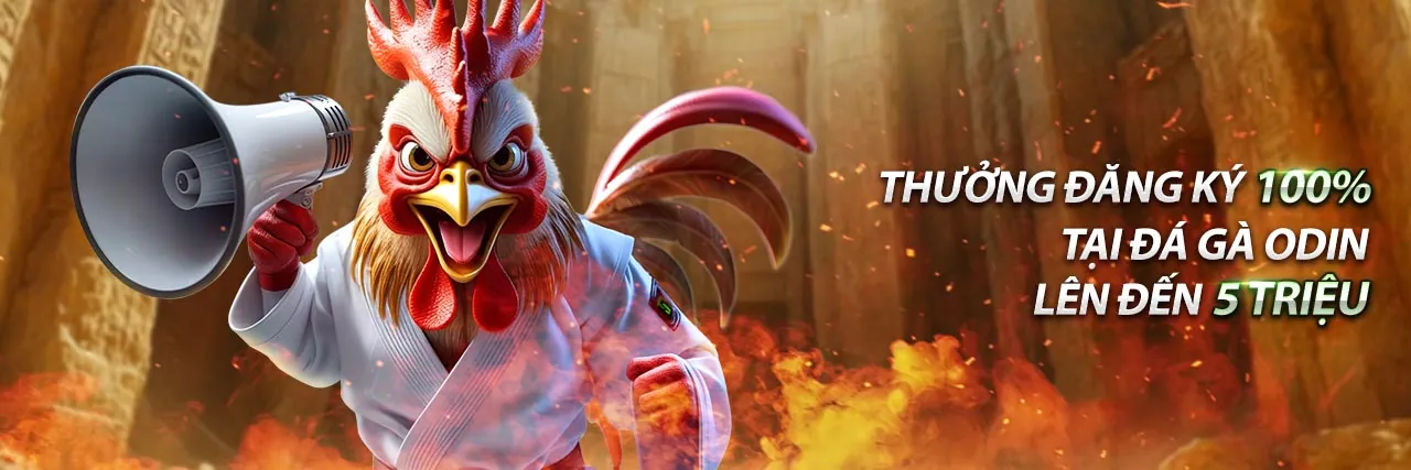 Hoàn trả hàng ngày